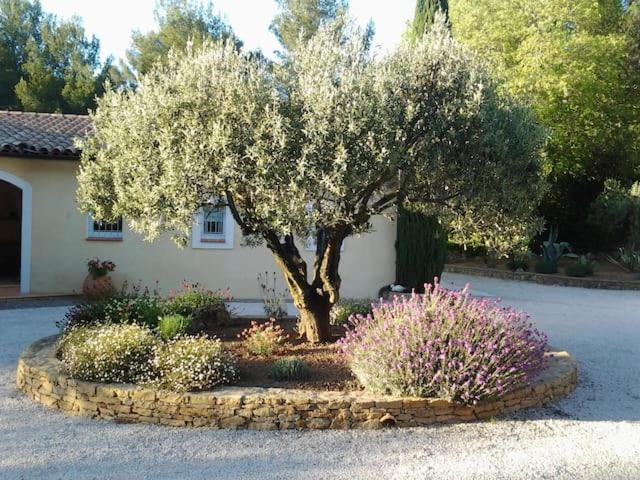 Maison Privee Au Calme Dans Mas Provencal Villa Sanary-sur-Mer Exterior photo